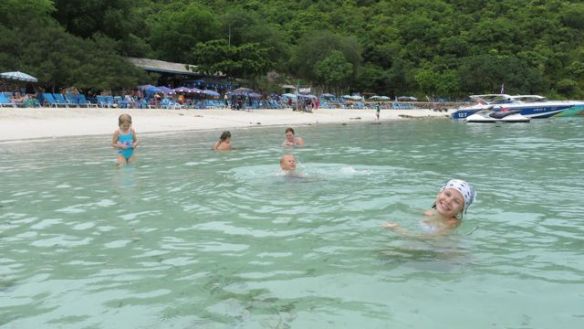 Vesipedot lempipuuhassaan (Koh Larn)