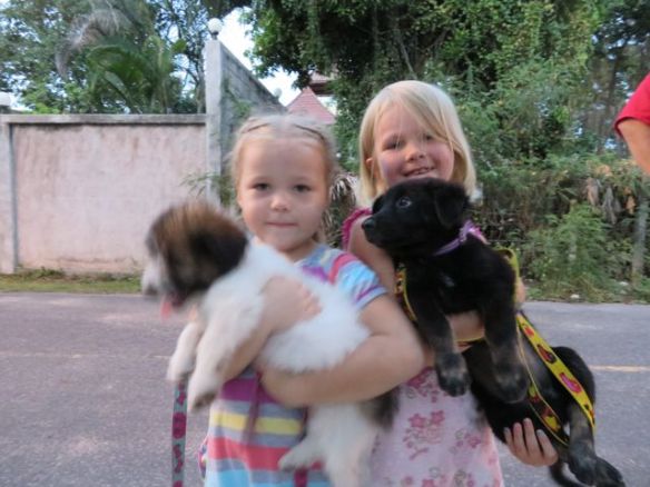 Piekku ja lähikadulla asuva venäläistyttö sekä naapurin koiranpennut (jotka eivät olisi millään malttaneet pysyä paikoillaan)