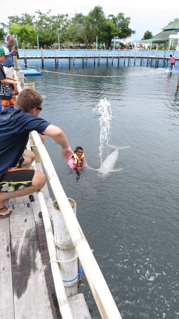 Tällä kertaa ei osunut, vaikka kouluttaja yritti näyttää mihin suuntaan vettä kannattaisi suihkuttaa...
