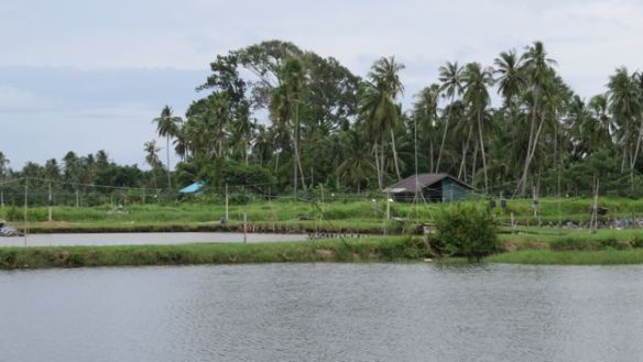 Rauhaisaa maaseutua Laem Singin liepeillä