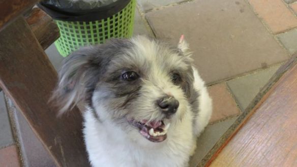 Tässä ravintolassa oli tällaisia ystäviä!