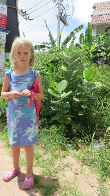 Piti ottaa kuva näistä rikkakuohoista, kun siellä rehottaa villinä myös Piekun korkuisia maksaruohoja!