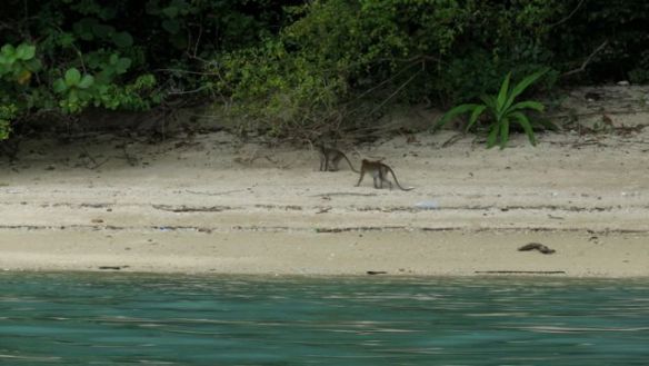 Vastaanottokomitea häippäsi hyvin äkkiä kun menimme lähemmäksi