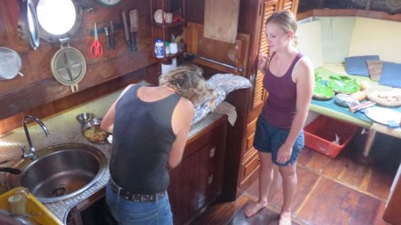 Eva ja Annika illallisen valmistelupuuhissa