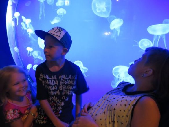 Upeita meduusoja -muttei niin isoja kuin meidän kotirannalla...