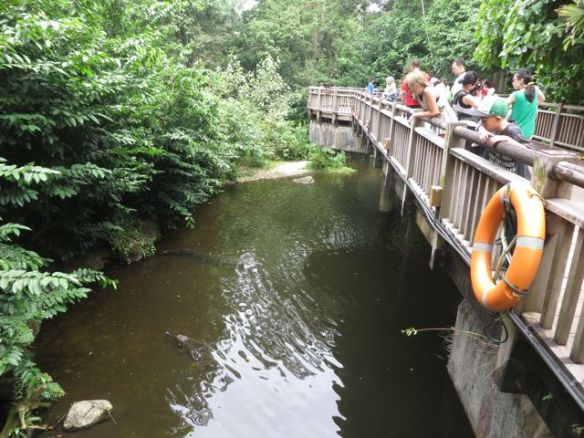 Tähän lampeen ei kannata pudota...