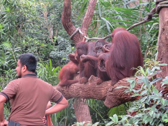 Hyvin koulutettuja kavereita nämäkin!