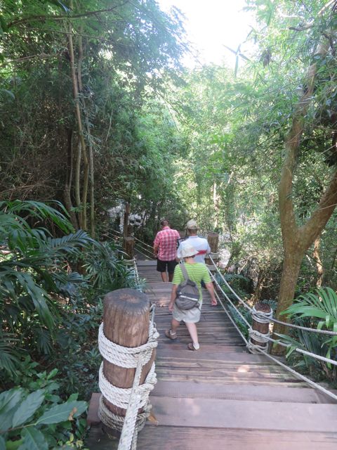 Kulku temppelille käy vehreän sademetsän siimeksessä