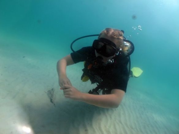 Tästä eteenpäin vedenalaiskuvat Pattaya Dive Centren Andyn ottamia