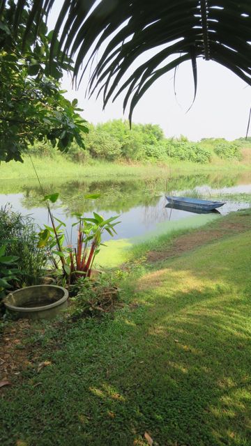 Näkymä puutarhasta kanaalille