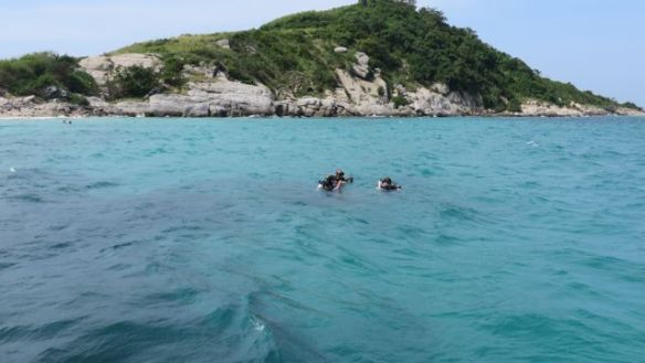 Vilma juuri noussut toiselta sukellukselta pintaan