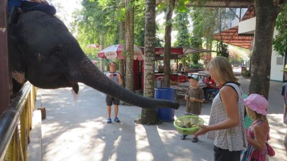 Ja niitähän sai tietysti vierestä ostaa