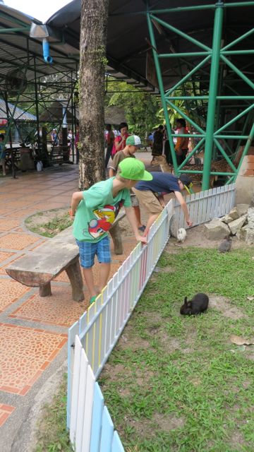 Kaikkien uljaitten ja hurjien eläinten keskellä ihanimpia taisivat kuitenkin olla pikkuiset puput!