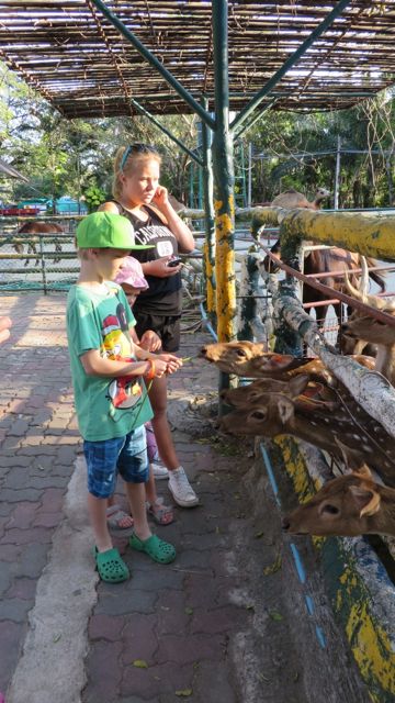 Eläinten ruokkiminen oli päivän parasta antia