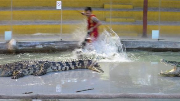 Esiintyjät piti ensin saada lavalle, mutta kaikkia ei huvittanut...