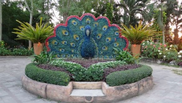 Kauniita istutuksia ja asetelmia oli paljon