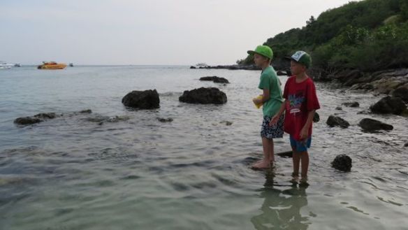 Pojat syöttivät ylijäämäriisit kaloille