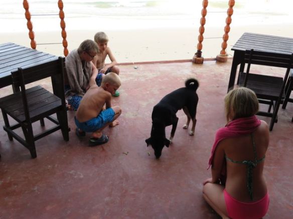 Koiruus sai reilusti herkkuja, kun ruokaa jäi yli...