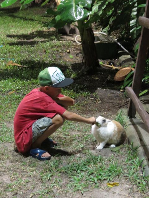 Puput saivat taas rapsutuksensa