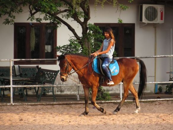 Alisalla sujui hienosti Dandyn kanssa