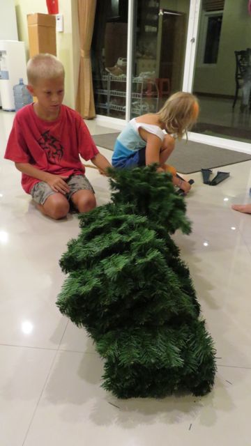 Marketin pahvilootasta sukelsi tällainen 