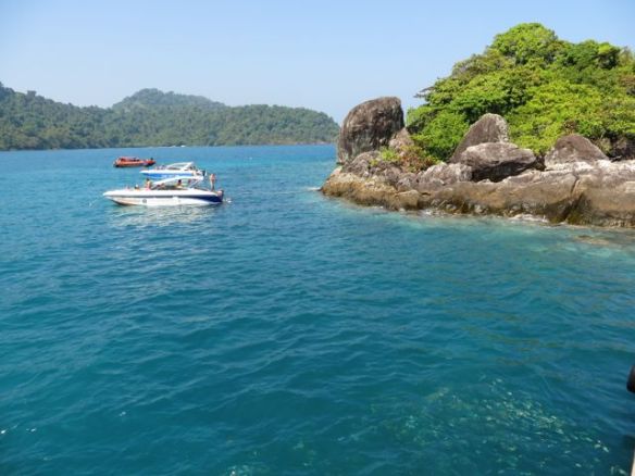 Kalliotten juurella oli paljon korallia ja erilaisia merieläviä, hienojen kalojen lisäksi mm. merisiilejä, merimakkaroita ja rapuja