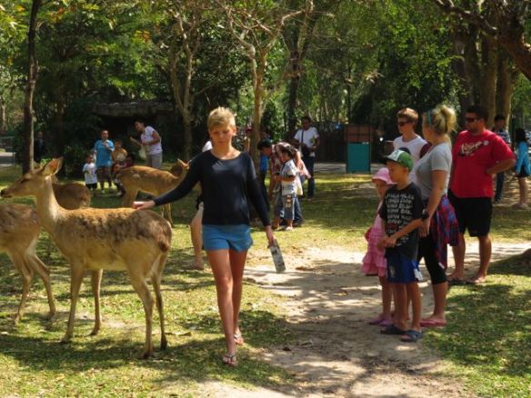 Eläimet kulkivat osittain vapaana, ja osittain isoissa aitauksissa, joihin pääsi kävelemään ja ruokkimaan eläimiä