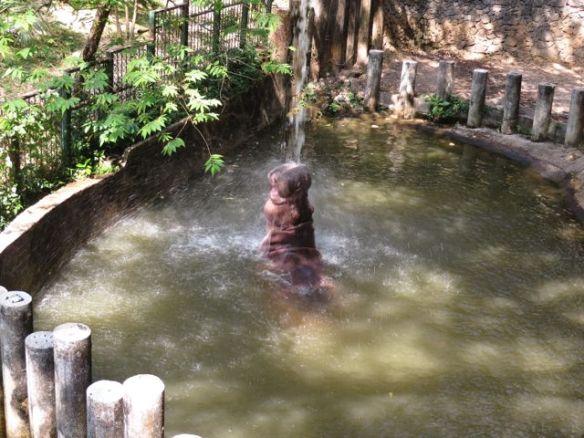 Suihku/juoma-automaatti