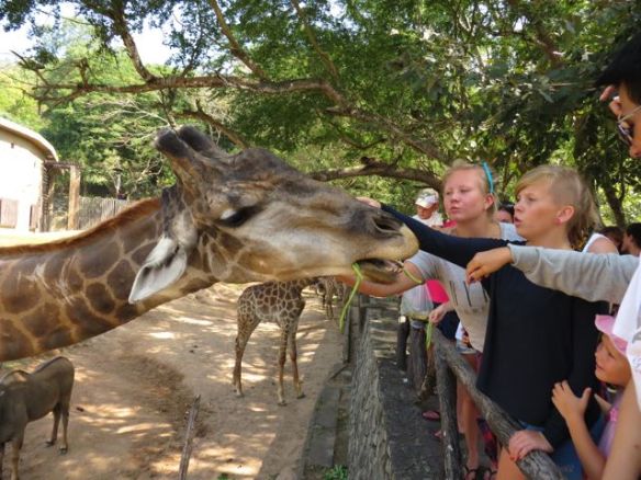 Tässä eläintarhassa pääsi todella lähelle eläimiä