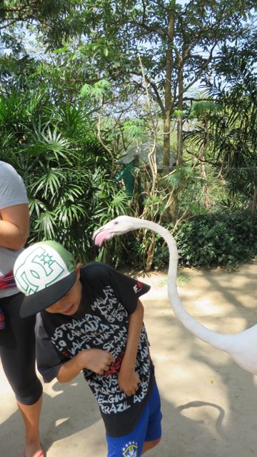 ...ja välillä hiukan tungettelevia