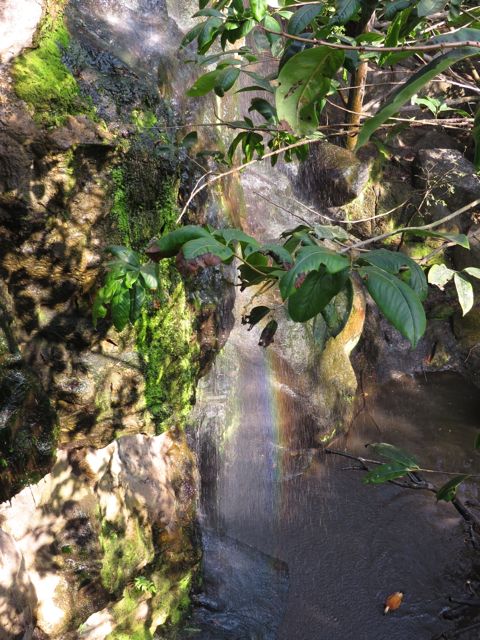 Vesiputouksen sateenkaari