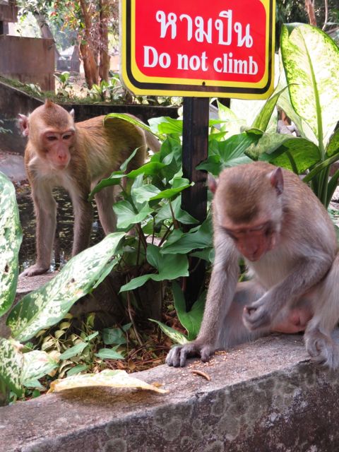 Ja siellä oli muitakin