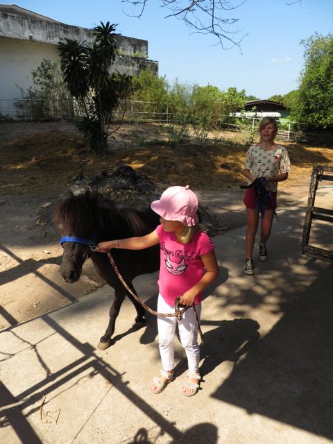 Pikkuponien juoksutusta