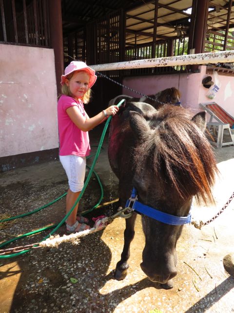 Hikisen juoksun jälkeen maistuu raikas suihku! (molemmat lopussa yhtä märkiä)