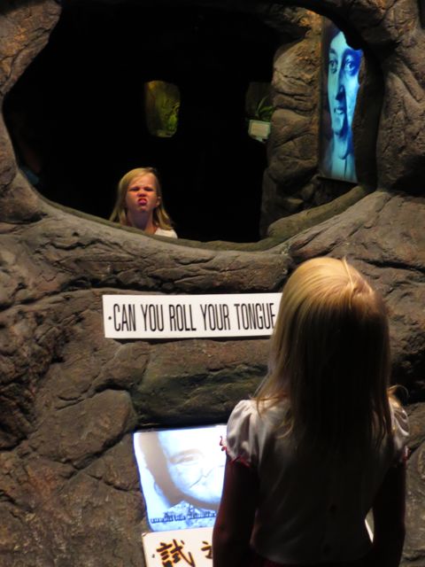 Peilin takana joku otti kuvia... mihin lie menivät, olisiko Ripleyllä joskus näyttely irvistelevistä ihmisistä