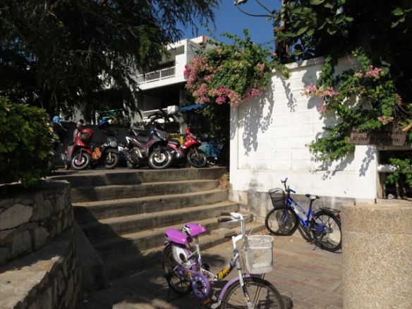 Nämä portaat olivat joskus niin roskan peitossa, ettei meinannut mahtua kulkemaan!