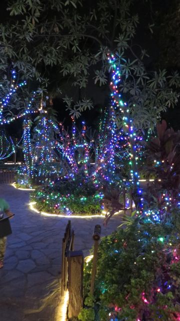 Tarjolla oli myös silmänruokaa