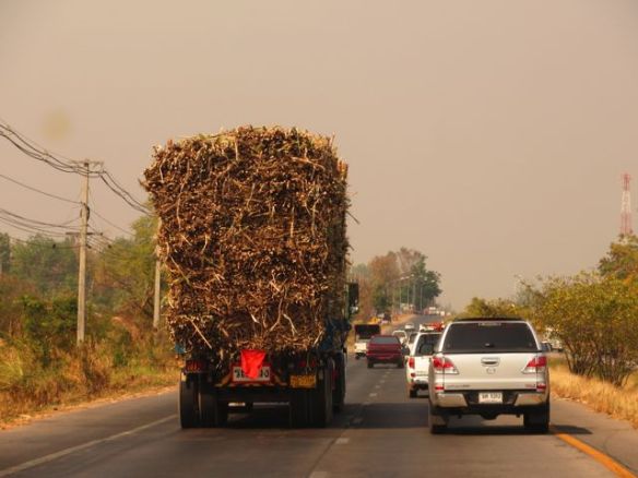 Tyypillinen puukuorma