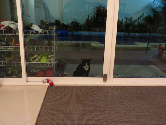 Ettekö oikeesti päästä sisään...