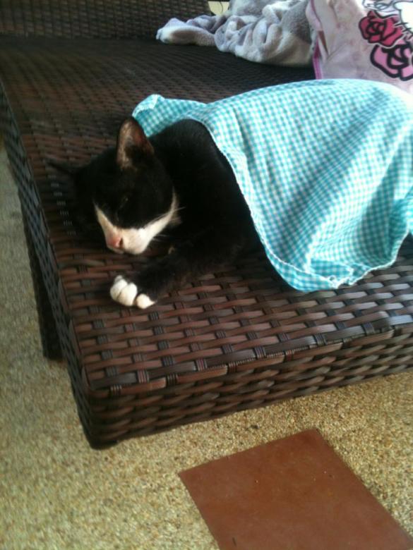 Eivät ne olosuhteet ulkonakaan kovin kurjat ole...