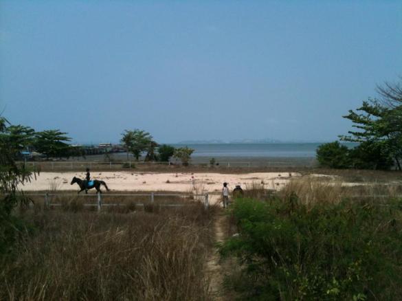 Alakentällä meren äärellä