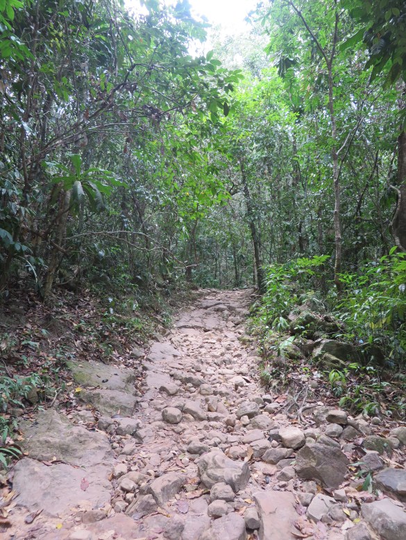 Viimeinen kilometri putoukselle oli käveltävä