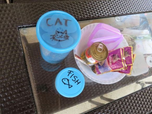 Annoin yövartijallemme hiukan ekstrapalkkaa, ja pyysin huolehtimaan eläimistä eli ruokkimaan kalat ja Intiaani-kisun jos se poikimiseltaan vielä ilmaantuisi syömään