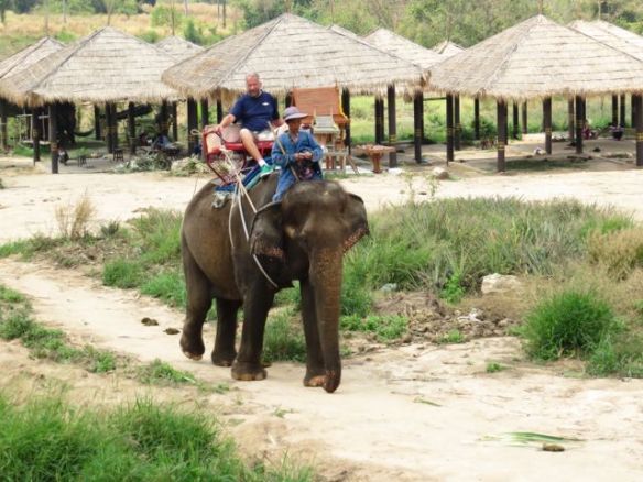 Pauli eli "Papa" sai oman norsun