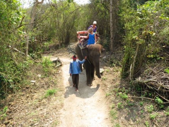 Venla uskaltautui norsun niskaan istumaan