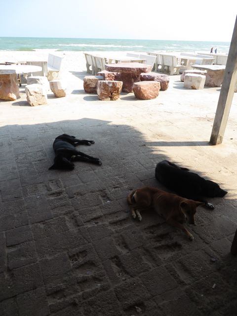 Eräässä Cha Am Beachin rannan ravintoloista