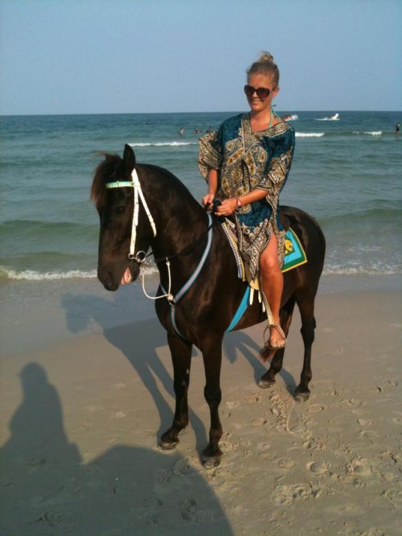 Tämä virkeä oripoika säikkyi vähän kaikkea, aaltoja, leijasurffareita, aurinkotuoleja... ja vauhtia riitti!