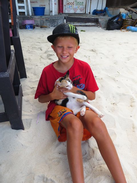 Jos thaimaalaisista kissoista saa jonkunnäköisiä zoonooseja, niin meidän lapsilla on varmasti jo ne kaikki