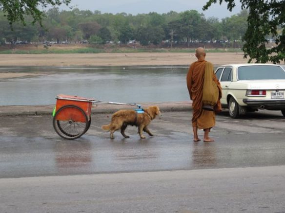 Pyhää miestä ja hänen koiraansa ei kukaan viitsinyt kastella