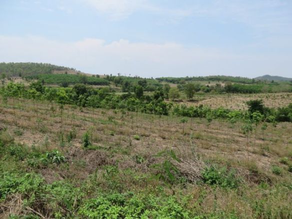 Kaunista maalaismaisemaa